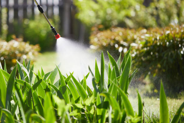Tamper-Resistant Bait Stations for Rodents in Centennial Park