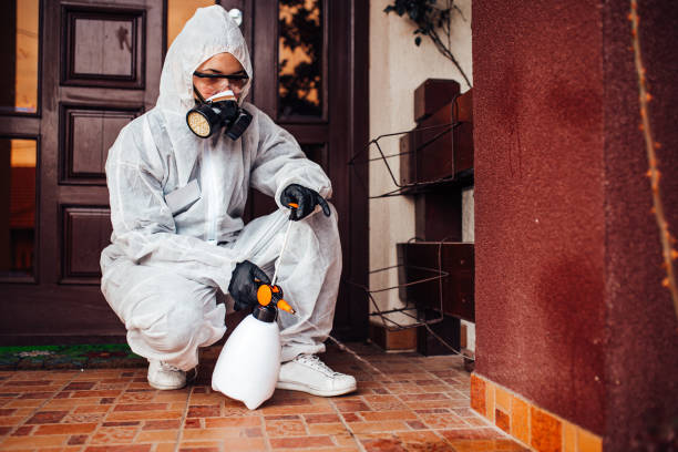 Attic and Crawl Space Rodent Treatment in Centennial Park